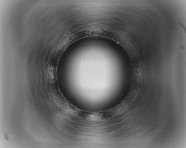 X0000102820232200808181253