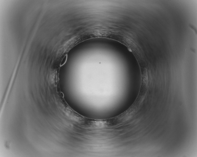 X0000102820233200808181253