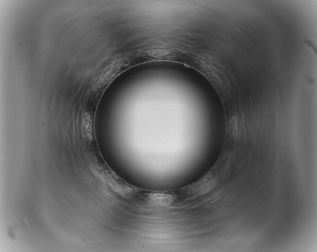 X0000102820234200808181253