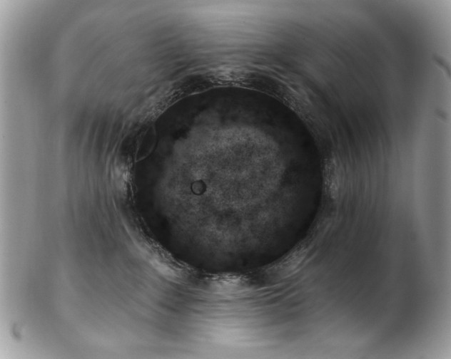X0000102820235200808181253