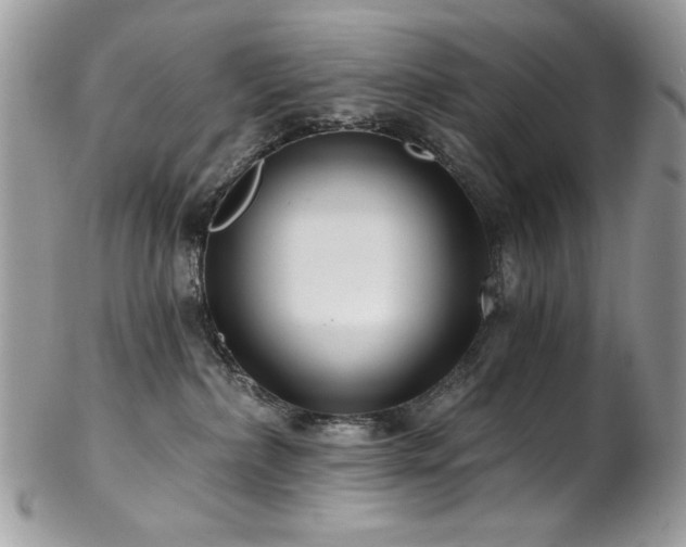 X0000102820236200808181253