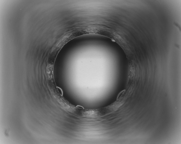 X0000102820237200808181253
