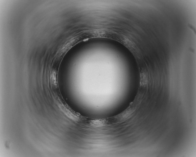 X0000102820238200808181253