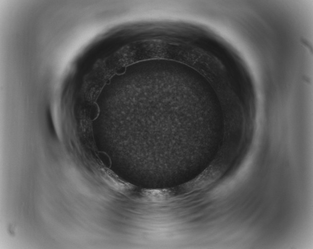 X0000102820239200808181253