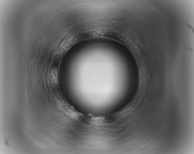 X0000102820240200808181253