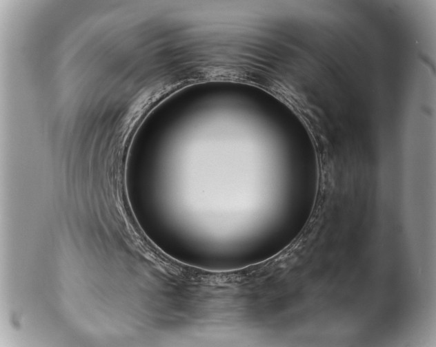 X0000102820241200808181252