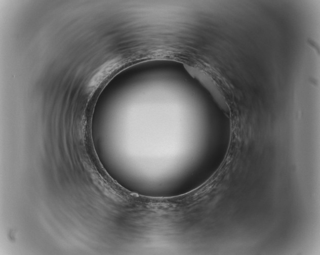 X0000102820242200808181252