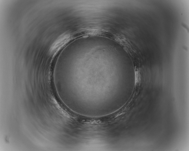 X0000102820243200808181252