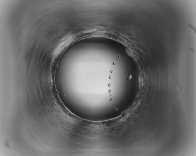 X0000102820245200808181252