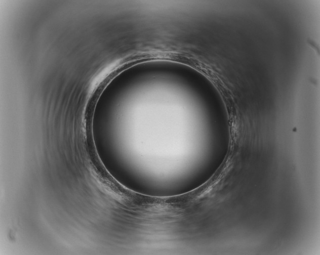 X0000102820246200808181252
