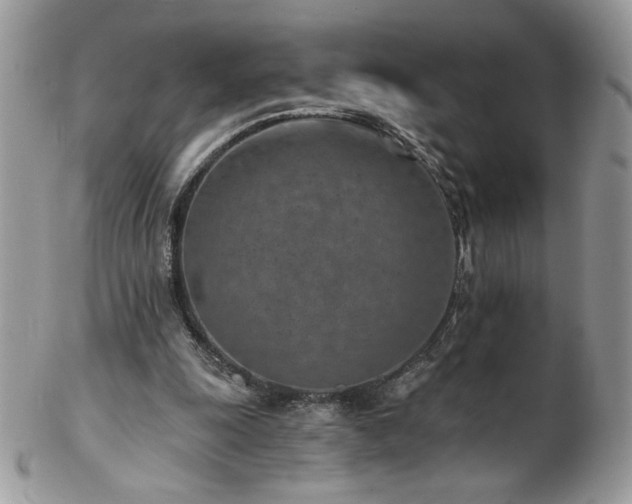 X0000102820247200808181252