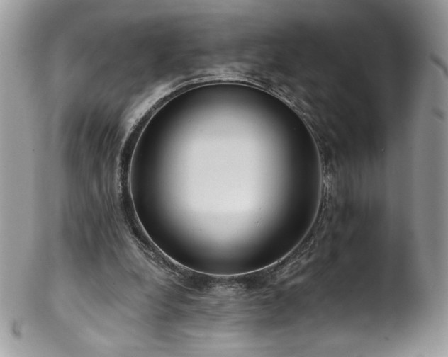 X0000102820248200808181252
