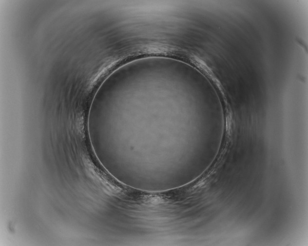X0000102820249200808181252