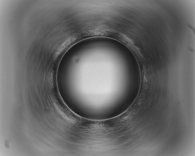 X0000102820250200808181252
