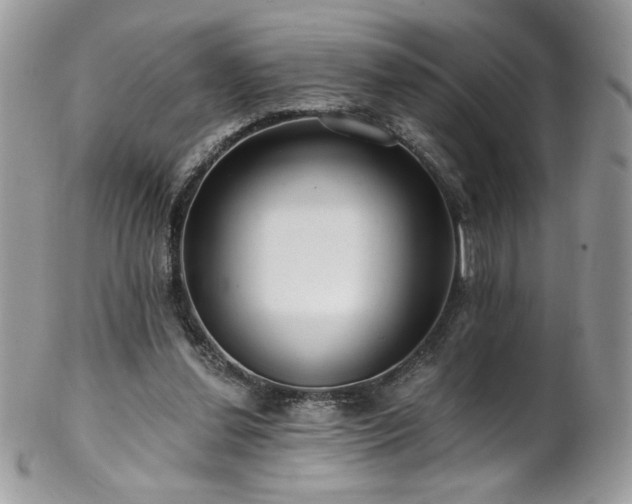X0000102820252200808181252