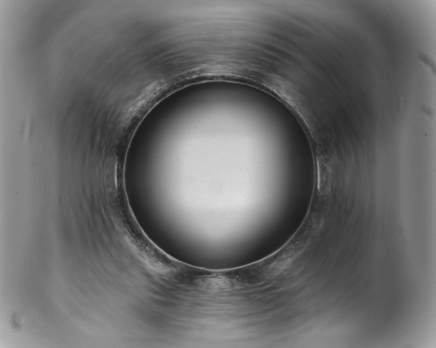 X0000102820253200808181252