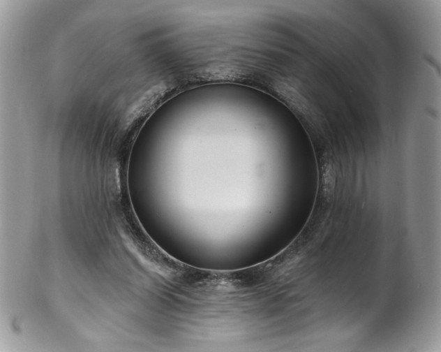 X0000102820254200808181252