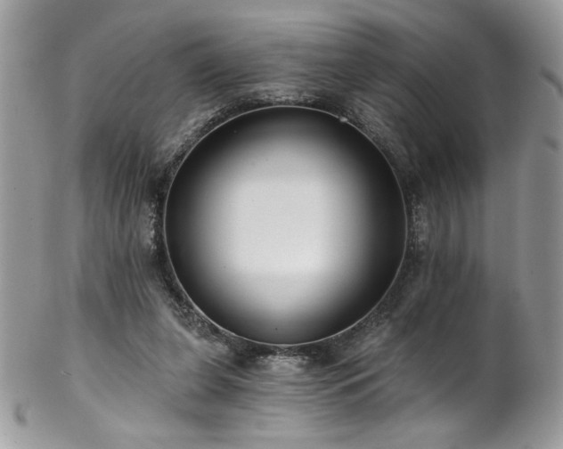X0000102820255200808181252
