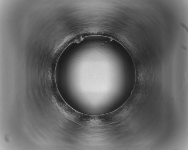 X0000102820256200808181252
