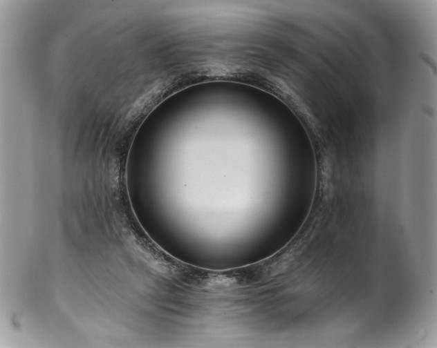 X0000102820257200808181252