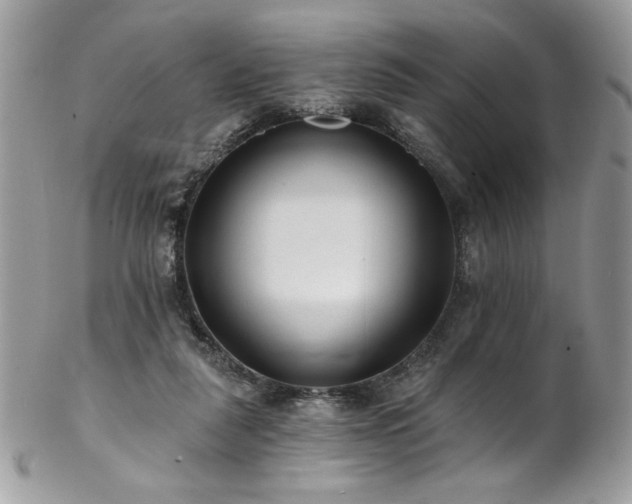 X0000102820259200808181252