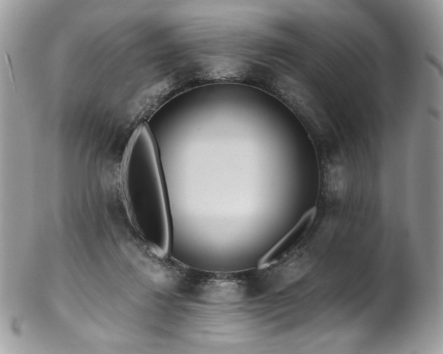 X0000102820260200808181252