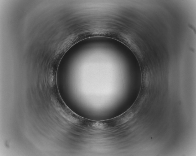 X0000102820261200808181252