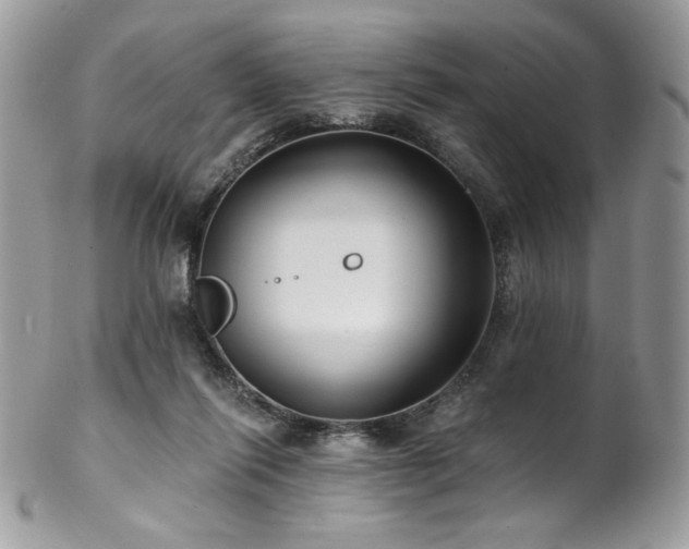 X0000102820262200808181252