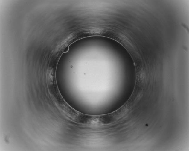 X0000102820264200808181252