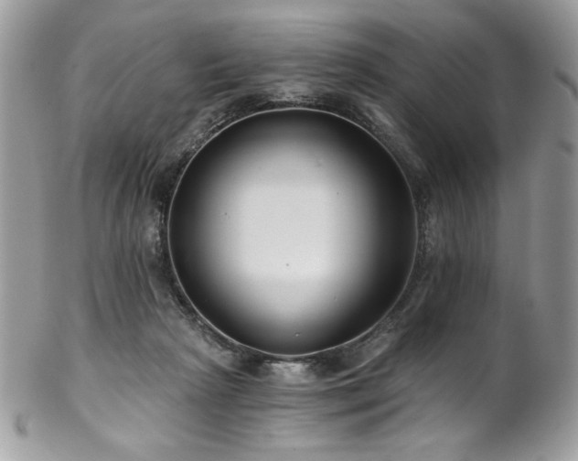 X0000102820265200808181252