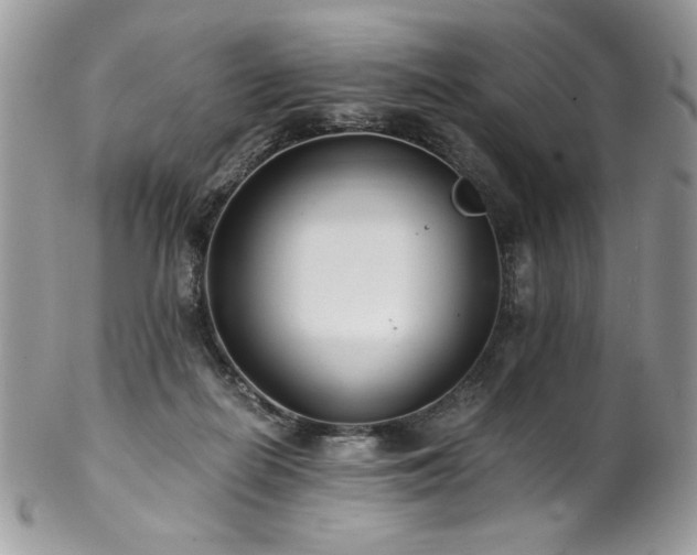 X0000102820266200808181252
