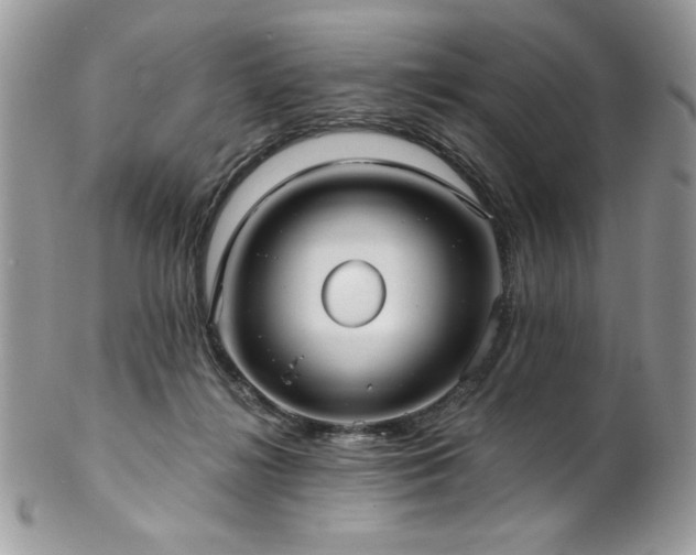 X0000102820268200808181252