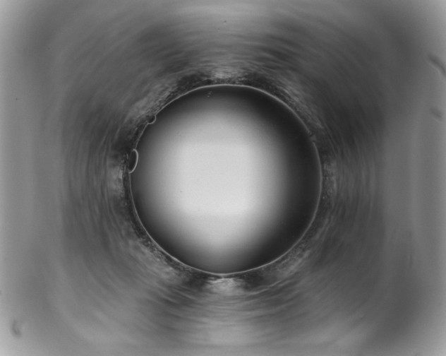 X0000102820269200808181252