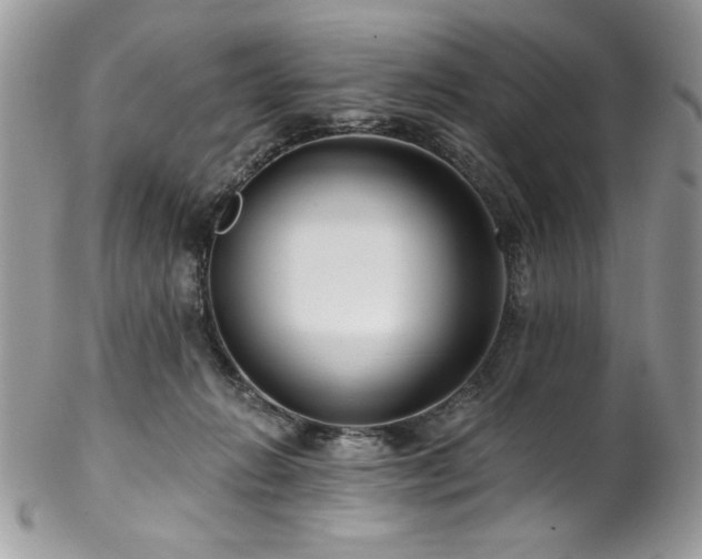 X0000102820270200808181252