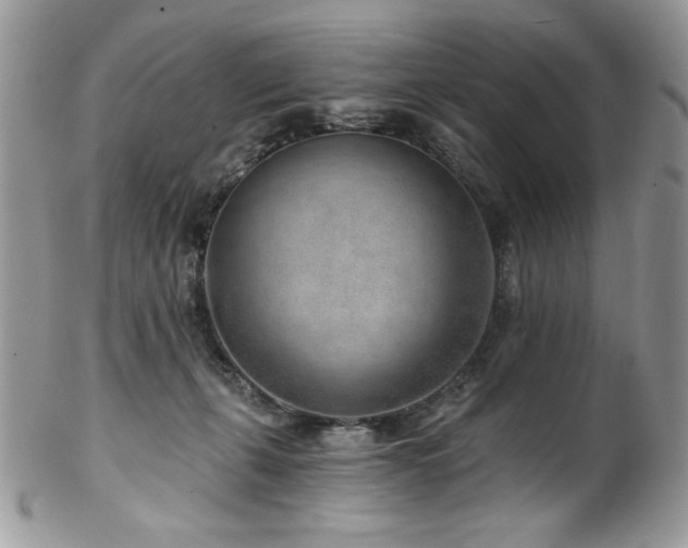 X0000102820271200808181252