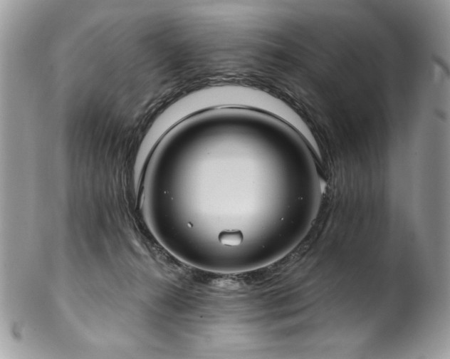 X0000102820272200808181252