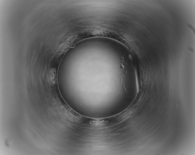 X0000102820273200808181252