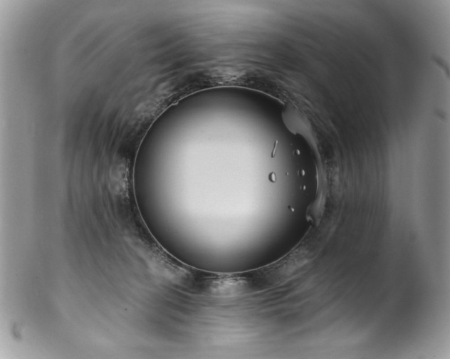 X0000102820274200808181252