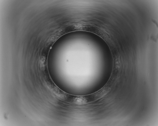X0000102820275200808181252
