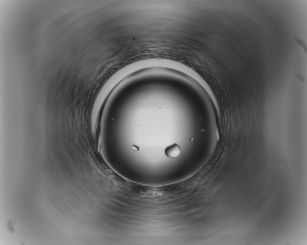 X0000102820276200808181252