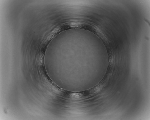 X0000102820277200808181252