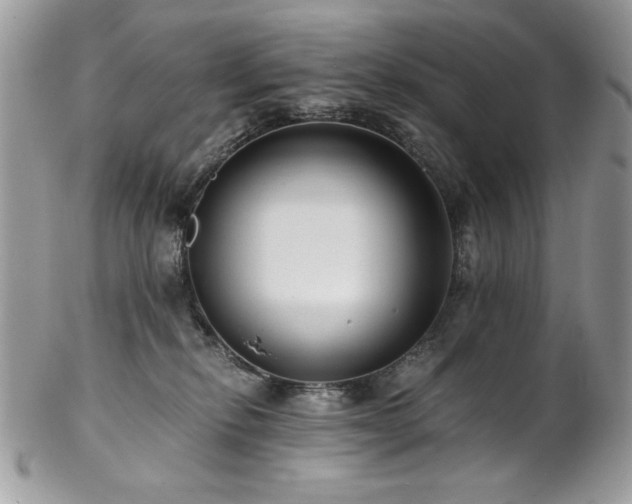 X0000102820278200808181252