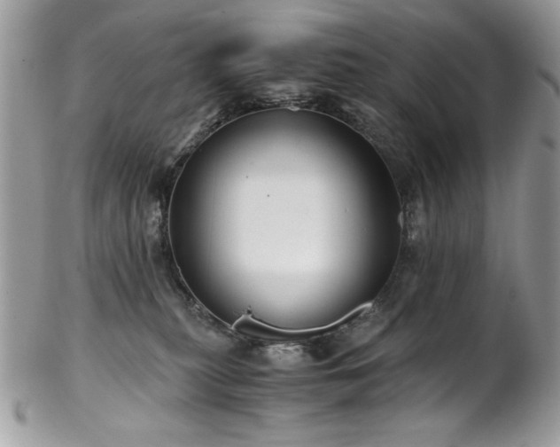 X0000102820279200808181252