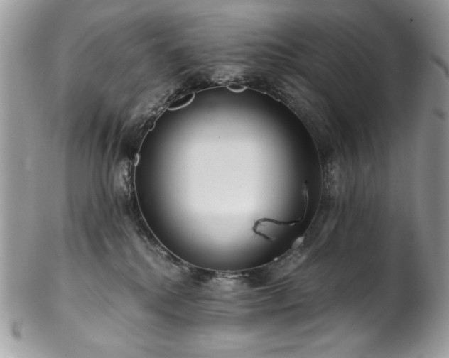 X0000102820280200808181252