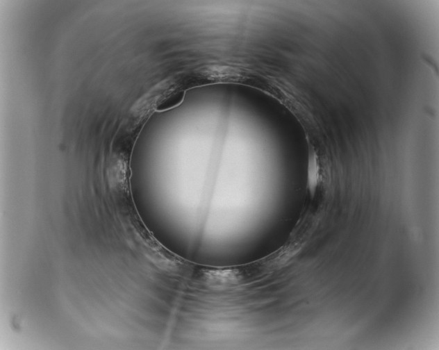 X0000102820281200808181252