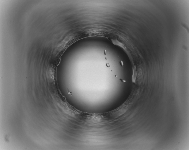 X0000102820282200808181252