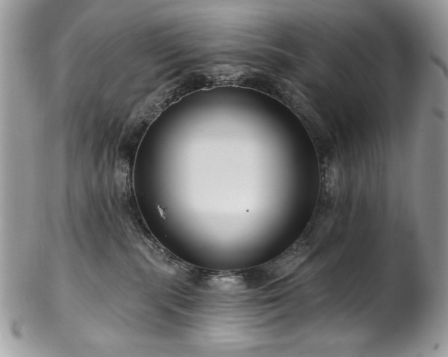 X0000102820283200808181252