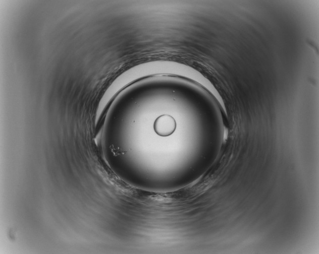 X0000102820284200808181252
