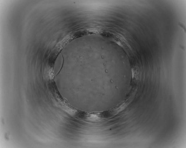 X0000102820285200808181253