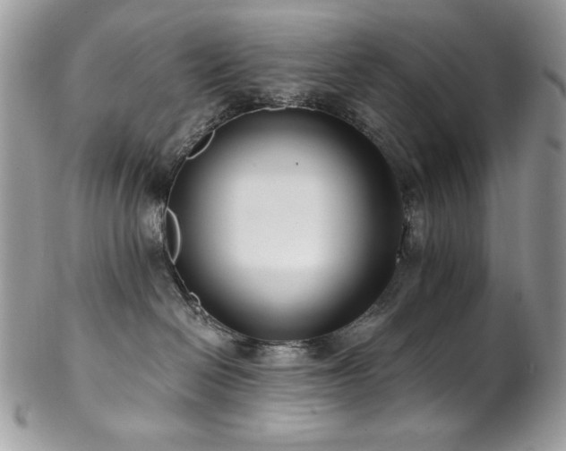 X0000102820286200808181253